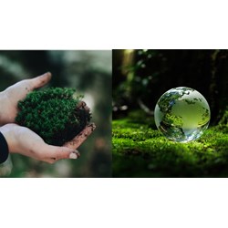 Vai trò, ý nghĩa và các đặc trưng của hệ sinh thái?
