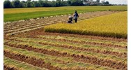 Thời hạn sử dụng đất nông nghiệp theo Luật đất đai năm 2024?