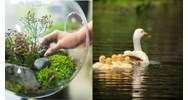 Hệ sinh thái có vai trò như thế nào đối với con người?