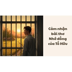 Cảm nhận bài thơ Nhớ đồng của Tố Hữu Ngữ văn lớp 11