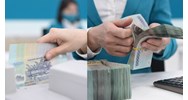 Hồ sơ vay vốn ngân hàng theo Thông tư 12/2024/TT-NHNN
