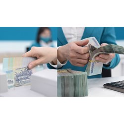 Hồ sơ vay vốn ngân hàng theo Thông tư 12/2024/TT-NHNN