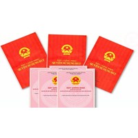 Mẫu đơn đăng ký đất đai mới nhất từ 01/8/2024 (Mẫu 04/ĐK) áp dụng hộ gia đình, cá nhân