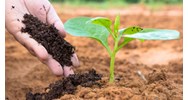 Quy chuẩn kỹ thuật về chất lượng đất (QCVN 03:2023/BTNMT)