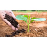 Quy chuẩn kỹ thuật về chất lượng đất (QCVN 03:2023/BTNMT)