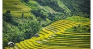 Thuyết minh về cảnh quan thiên nhiên ở vùng núi phía Bắc