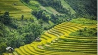 Thuyết minh về cảnh quan thiên nhiên ở vùng núi phía Bắc