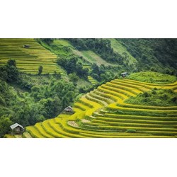 Thuyết minh về cảnh quan thiên nhiên ở vùng núi phía Bắc