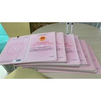 Nội dung chính của Nghị định 101 về cấp Sổ đỏ từ 01/8/2024