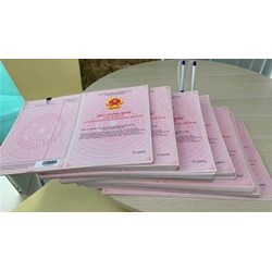 Nội dung chính của Nghị định 101 về cấp Sổ đỏ từ 01/8/2024
