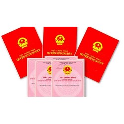 Điểm mới Nghị định 101 quy định về cấp sổ đỏ, sổ hồng từ 01/8/2024