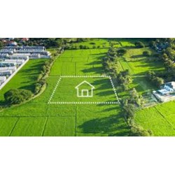 Bảng giá đất tỉnh Long An mới nhất 2024 theo Nghị quyết 10/2024/NQ-HĐND