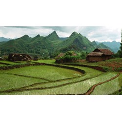 Bảng giá đất tại TP HCM điều chỉnh cao nhất bao nhiêu tiền/m2