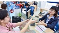 Người thẩm định, xét duyệt cấp tín dụng có được vay tại đang làm việc?