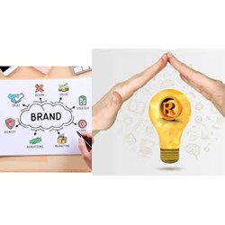 Quy trình đăng ký bảo hộ logo thương hiệu quán trà sữa