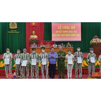 Mẫu đơn xin đặc xá mới nhất năm 2024 và cách viết