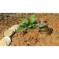 Chậm chi trả tiền bồi thường thu hồi đất thì tính lãi suất thế nào?