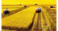 Một công đất miền tây, miền nam bằng bao nhiêu mét vuông?