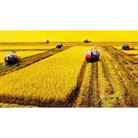 Một công đất miền tây, miền nam bằng bao nhiêu mét vuông?
