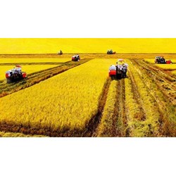 Một công đất miền tây, miền nam bằng bao nhiêu mét vuông?