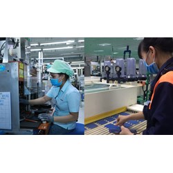 Bảng lương tối thiểu vùng năm 2024 của 63 tỉnh, thành phố