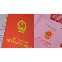 Danh sách văn bản hướng dẫn Luật Đất đai 2013 hết hiệu lực từ 01/8/2024