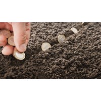 Miễn, giảm tiền sử dụng đất và tiền thuê đất từ 1/8/2024 theo Nghị định 103