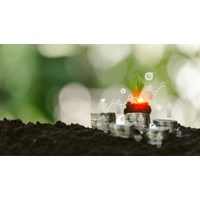 Cách tính tiền sử dụng đất khi chuyển mục đích sử dụng đất với hộ gia đình, cá nhân theo Nghị định 103/2024