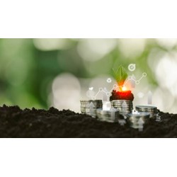 Cách tính tiền sử dụng đất khi chuyển mục đích sử dụng đất với hộ gia đình, cá nhân theo Nghị định 103/2024