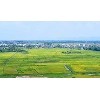 Mẫu Đơn đăng ký đất đai, tài sản gắn liền với đất (Mẫu 04/ĐK theo Nghị định 101)