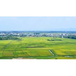 Mẫu Đơn đăng ký đất đai, tài sản gắn liền với đất (Mẫu 04/ĐK theo Nghị định 101)