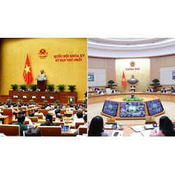 Sự khác nhau giữa bộ, cơ quan ngang bộ với cơ quan thuộc chính phủ?