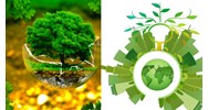 Thẩm quyền cấp giấy phép môi trường thuộc cơ quan nào?