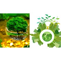 Thẩm quyền cấp giấy phép môi trường thuộc cơ quan nào?
