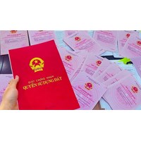 Cấp sổ đỏ online theo quy định mới từ ngày 01/8/2024