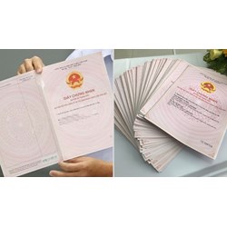 Hồ sơ cấp Giấy chứng nhận quyền sử dụng đất lần đầu mới nhất