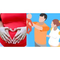 Tự đóng bảo hiểm xã hội có được hưởng chế độ thai sản?
