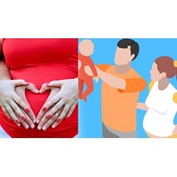 Tự đóng bảo hiểm xã hội có được hưởng chế độ thai sản?