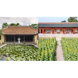 Tóm tắt Tác phẩm Hoa trái quanh tôi của nhà văn Hoàng Phủ Ngọc Tường