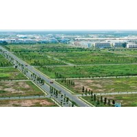 Cách phân loại đất theo quy định của Luật Đất đai 2024?