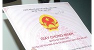 Mẫu tờ trình về việc cấp giấy chứng nhận quyền sử dụng đất mới