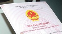 Mẫu tờ trình về việc cấp giấy chứng nhận quyền sử dụng đất mới
