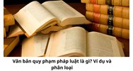 Văn bản quy phạm pháp luật là gì? Ví dụ và phân loại