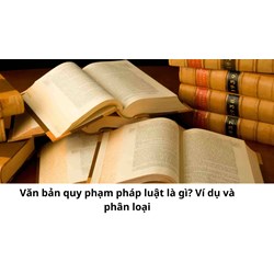Văn bản quy phạm pháp luật là gì? Ví dụ và phân loại