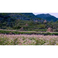 Thuyết minh về cao nguyên đá Đồng Văn