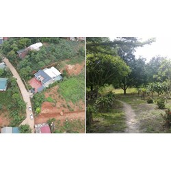 Điều kiện để đất vườn lên đất thổ cư mới nhất 2024 là gì?