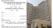 Mẫu hợp đồng thuê nhà ở công vụ theo Nghị định 95/2024/NĐ-CP