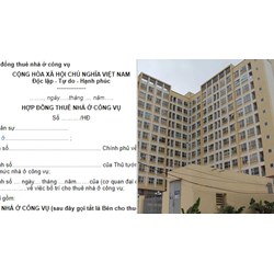 Mẫu hợp đồng thuê nhà ở công vụ theo Nghị định 95/2024/NĐ-CP