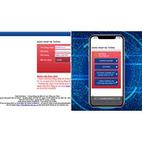 Tra cứu mã số thuế người phụ thuộc bị trùng Online năm 2024