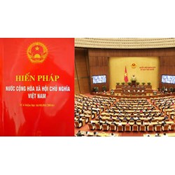 Các tổ chức chính trị - xã hội theo Hiến pháp 2013 bao gồm?